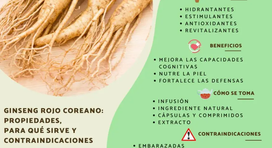 Raíces de ginseng rojo coreano. Descubre para qué sirve el ginseng, sus propiedades, beneficios y contraindicaciones.