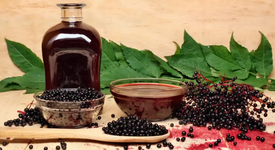 Botella de jarabe oscuro, cuencos con bayas de sauco y hojas verdes.