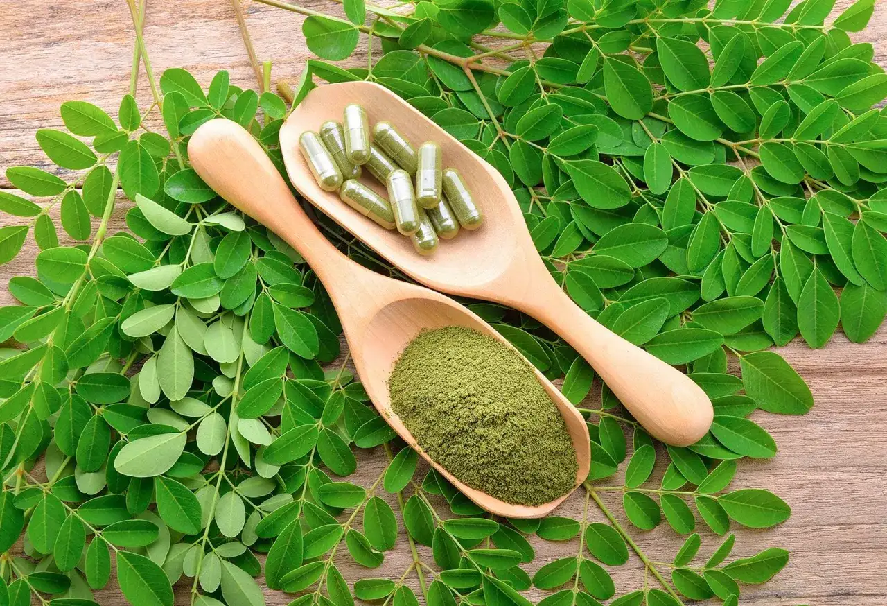 Cucharas de madera con polvo y cápsulas de moringa, rodeadas de hojas verdes. Descubre los moringa beneficios para la mujer.