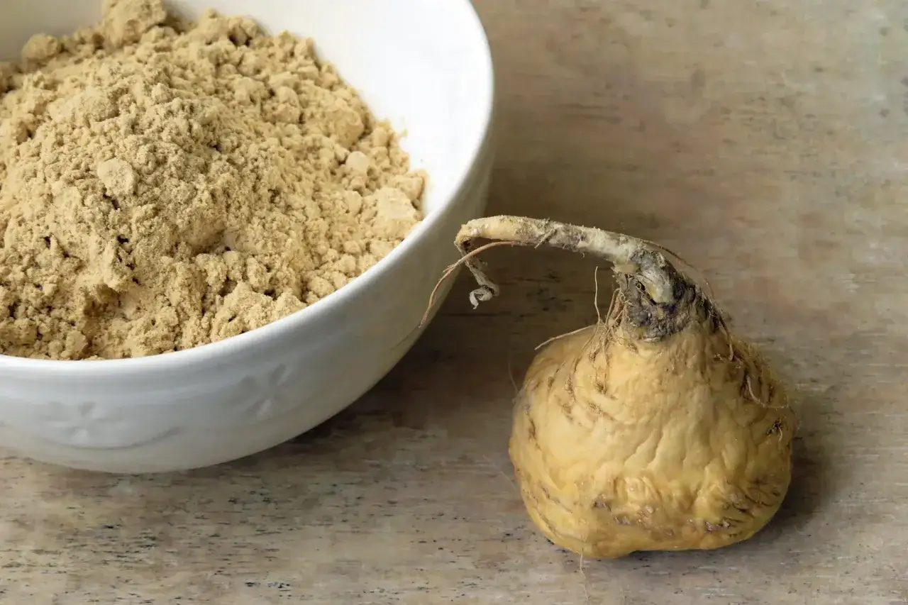Raíz de maca y polvo en un tazón, ideal para aliviar síntomas de maca menopausia.