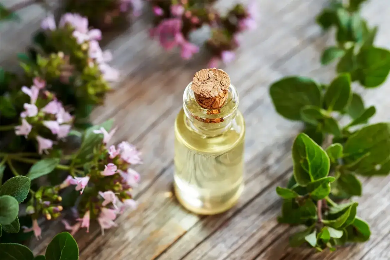 Botella de aceite de orégano con flores y hojas de orégano fresco sobre madera.
