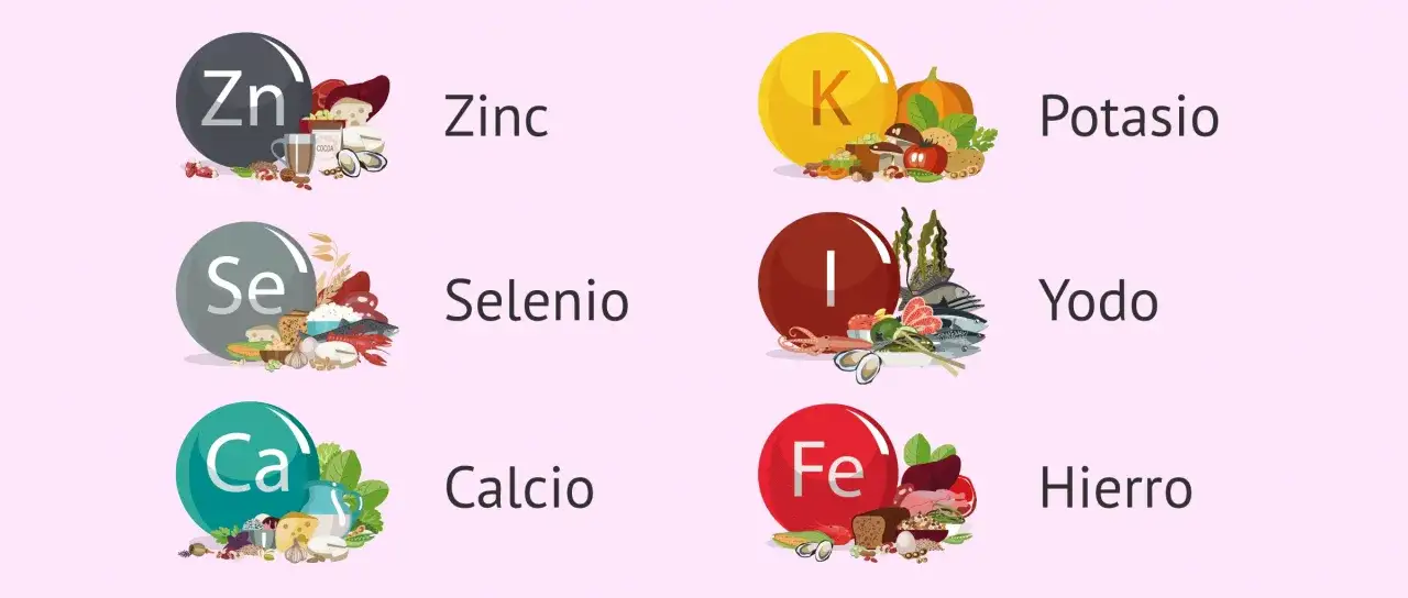 Zinc, selenio, potasio, yodo, calcio y hierro. El zinc es clave para quedar embarazada.