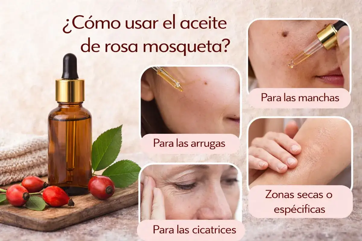 Aceite de rosa mosqueta para manchas, arrugas, cicatrices y zonas secas. Descubre sus usos.