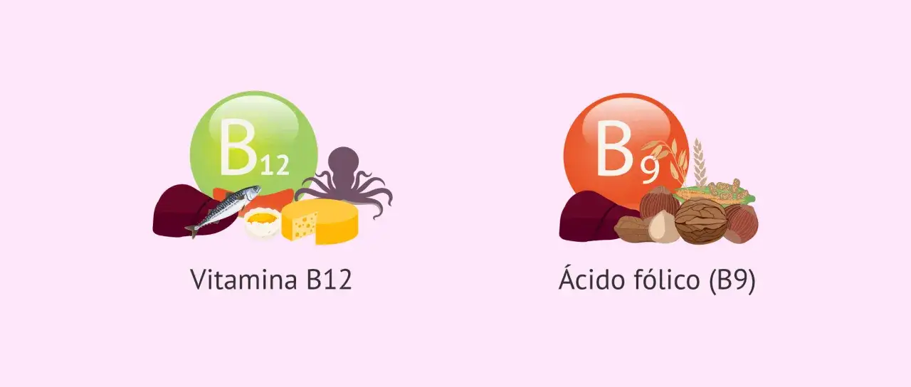 Vitamina B12 con pescado y queso; ácido fólico (B9) con frutos secos y cereales.