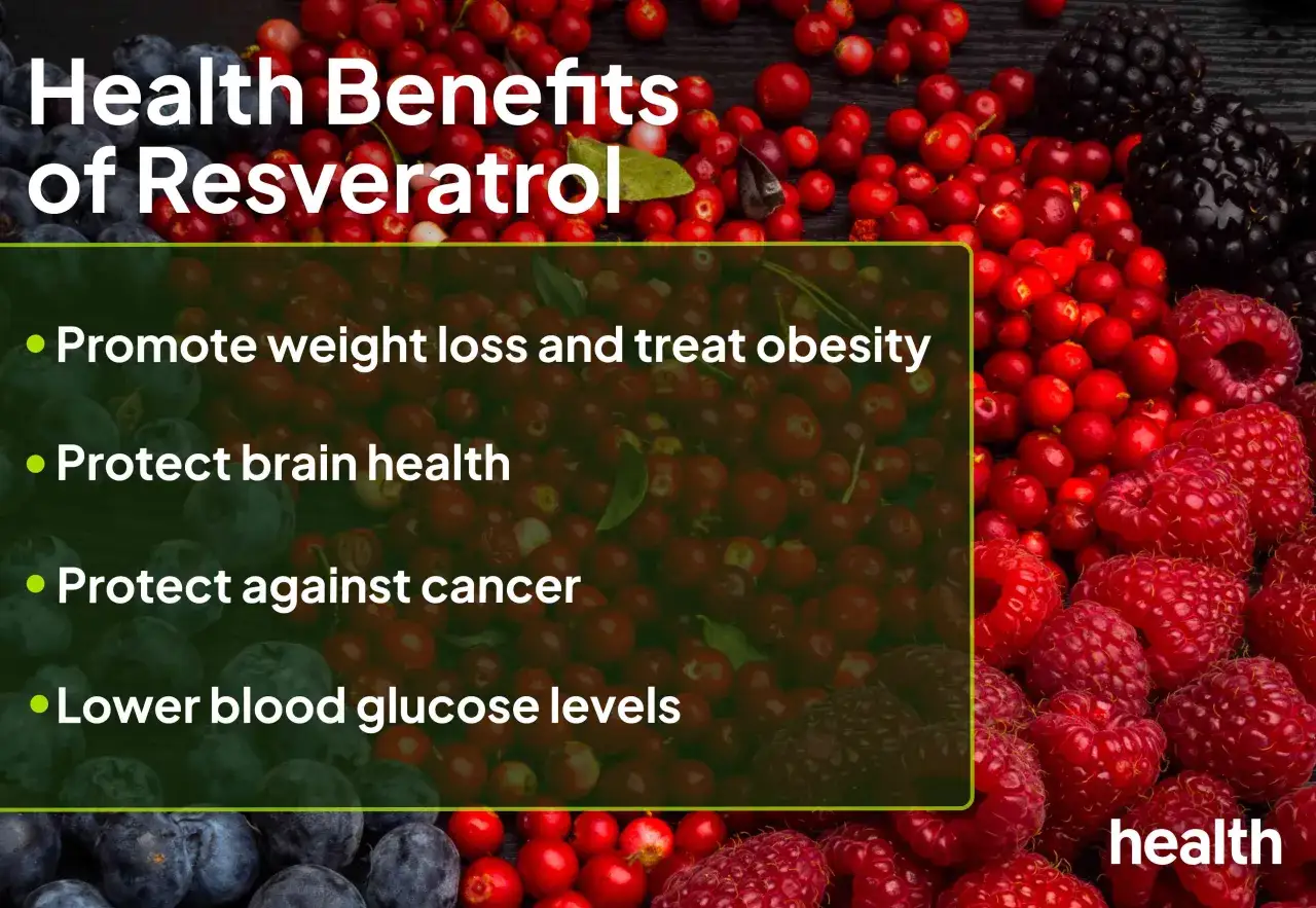 Bayas rojas y azules rodean texto sobre los beneficios del resveratrol, destacando sus propiedades para la salud, como la p&eacute;rdida de peso y la protecci&oacute;n cerebral.