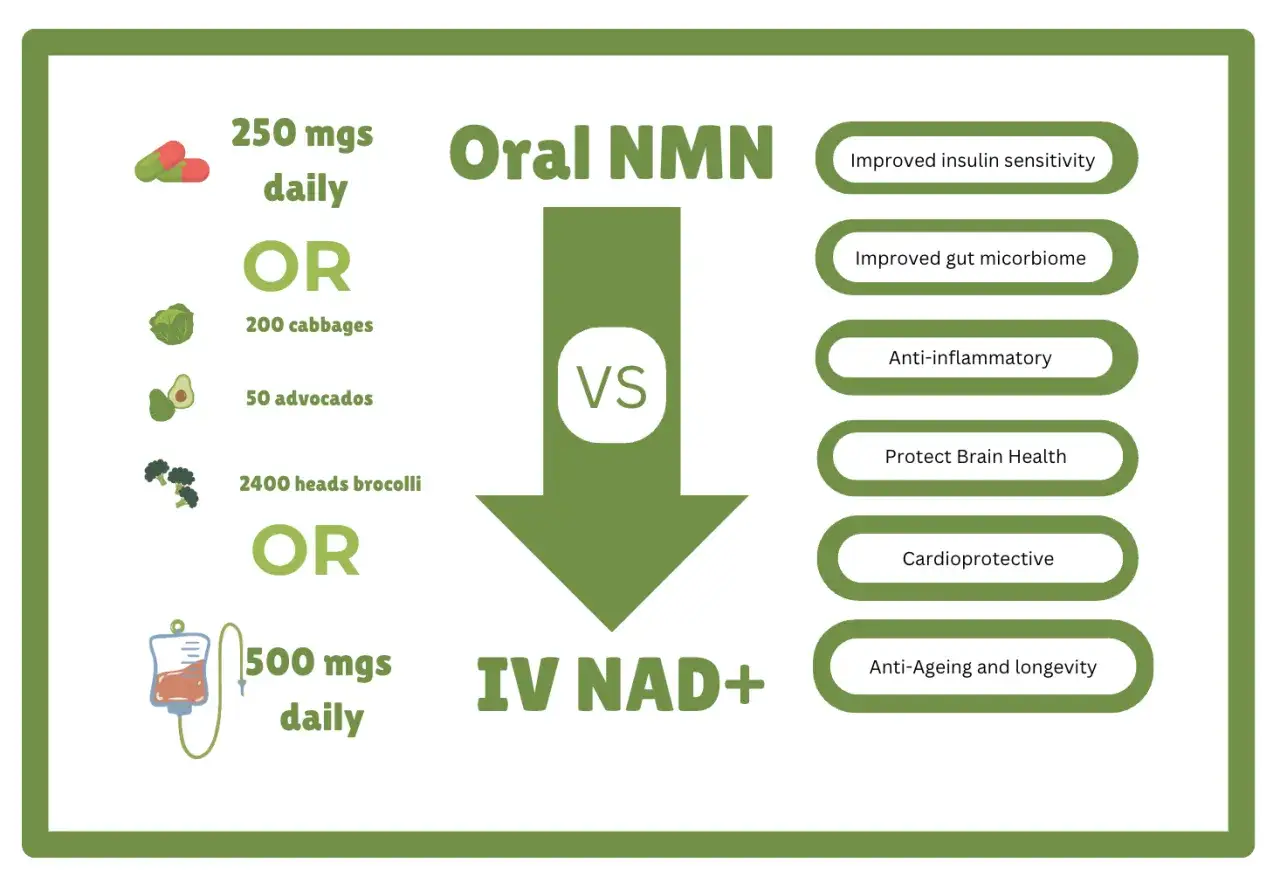 Oral NMN vs. IV NAD+. El NMN oral, 250 mg diarios, se compara con cantidades masivas de alimentos o 500 mg de IV NAD+. Beneficios: sensibilidad a la insulina, microbioma, antiinflamatorio, salud cerebral, cardioprotector, longevidad.