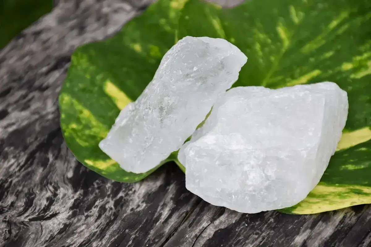 Dos trozos de piedra de alumbre, translúcidos y blancos, reposan sobre una hoja verde y amarilla, con un fondo de madera oscura.