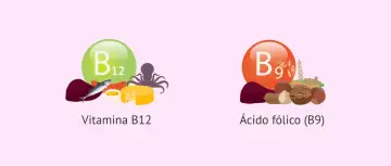 Vitamina B12 (pescado, queso) y ácido fólico (B9) (frutos secos, cereales) para una dieta equilibrada.